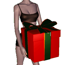 Big Present Box