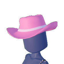 Cowboy Hat Toggle 1 in Hats