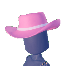 Cowboy Hat Toggle 2 in Hats