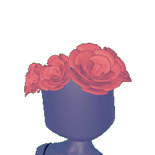 Flower Crown in Hats