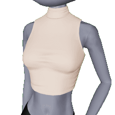 Cropped Turtle Neck F Toggle 1 in Tops