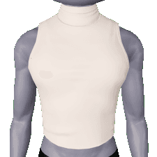 Cropped Turtle Neck M Toggle 1 in Tops